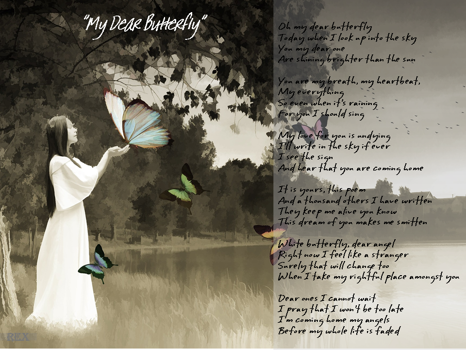 My Dear Butterfly